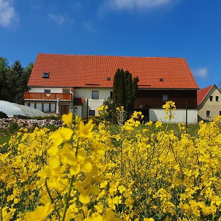 Alte Schaeferei Bad Gottleuba Villa Exterior photo