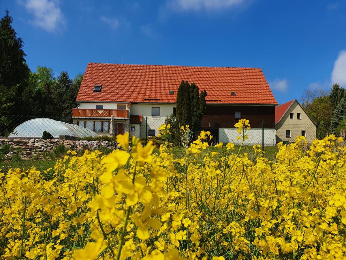 Alte Schaeferei Bad Gottleuba Villa Exterior photo